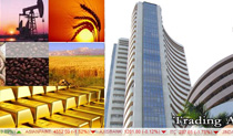 service Trading Services image service-Trading-Services-img